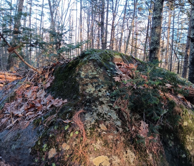 Glacial Erratics