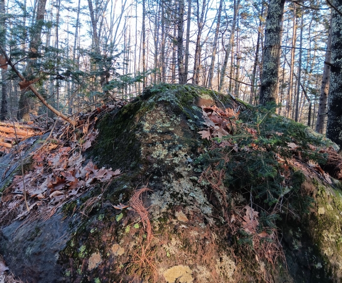 Glacial Erratics