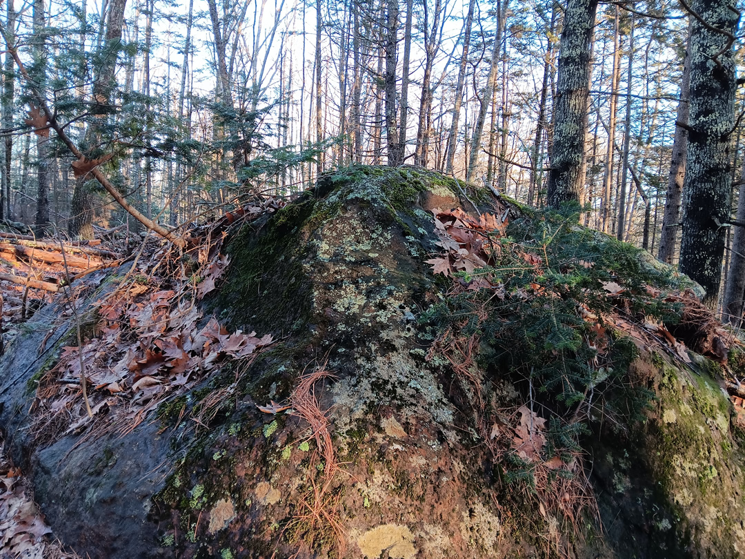 Glacial Erratics