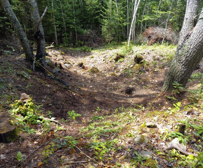 Mystery Site Project