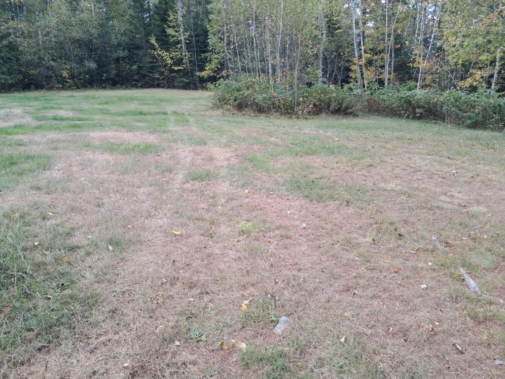 Agriculture-Project-Cover