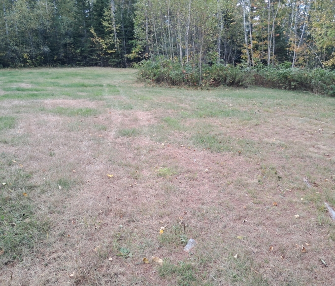 18th 19th 20th Century Farming