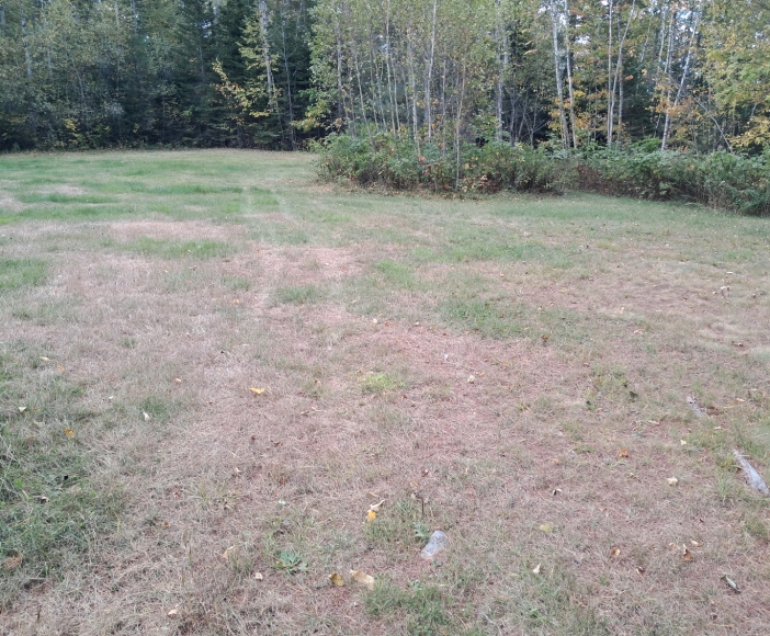 18th 19th 20th Century Farming