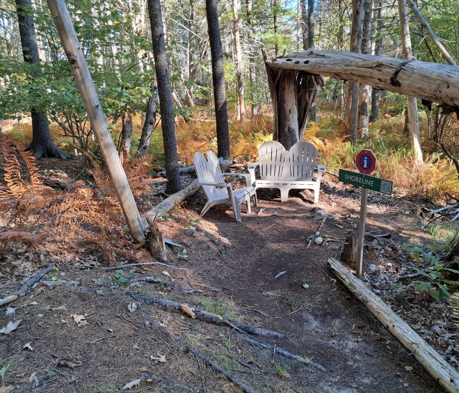 Shoreline Fossil Project