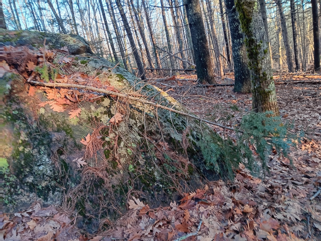 NorEasterProjectcover