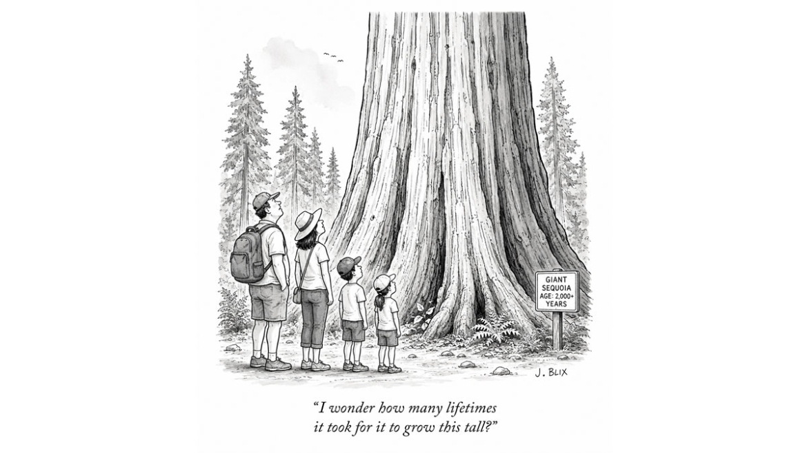 Forest Time