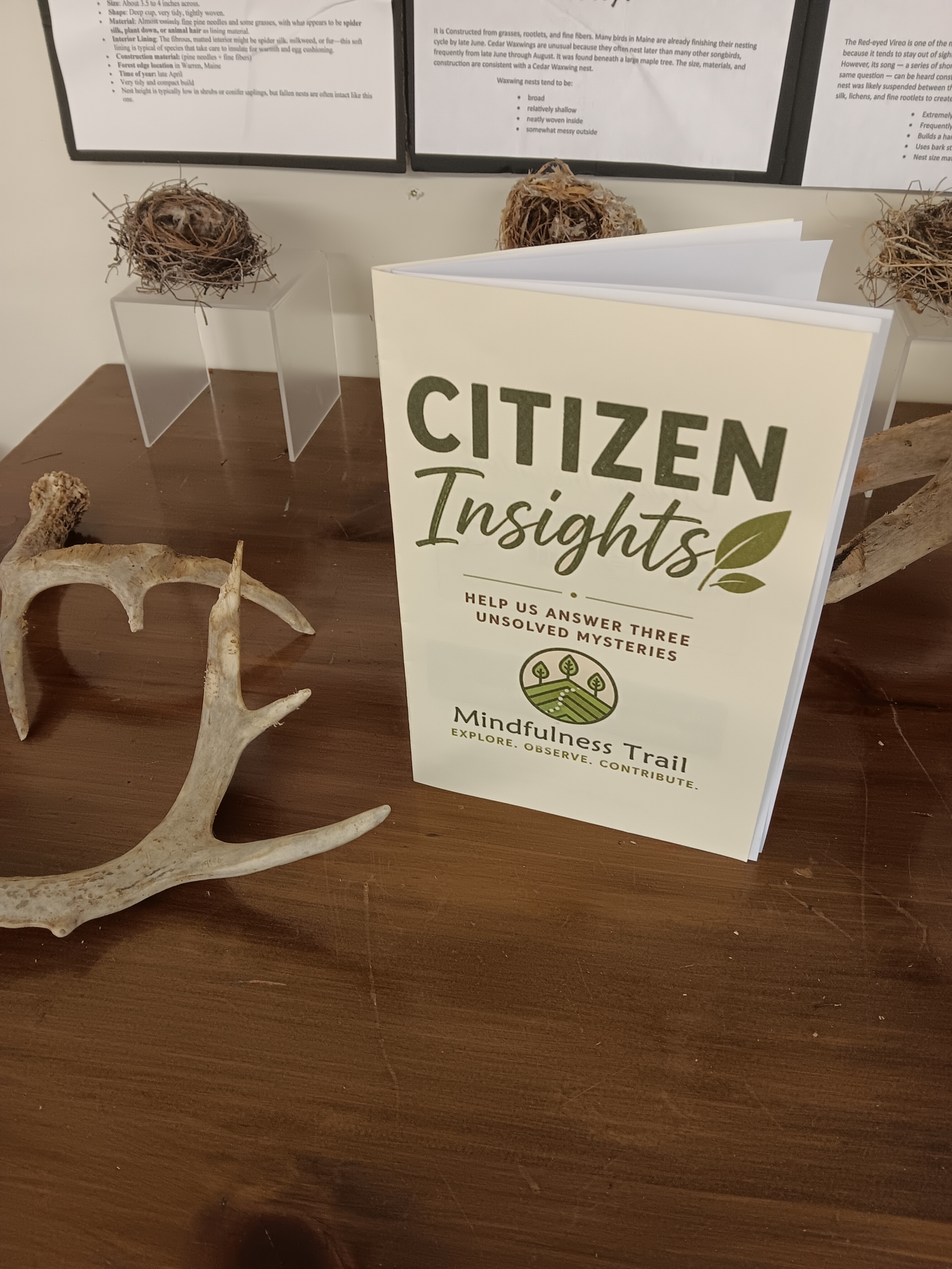 Citizen Insights booklet cover