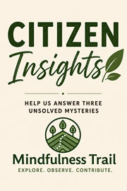 Citizen Insights booklet cover